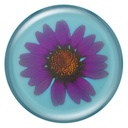 PopSockets - PopGrip Pressed Flower Purple Daisy